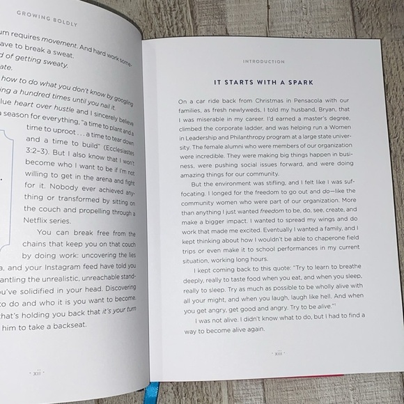 Dare to Build a Life you Love Growing Boldly by Emily Ley - Picture 8 of 13